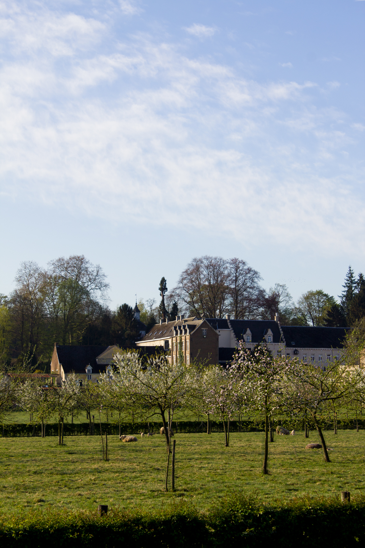 Sint-Jansbergklooster