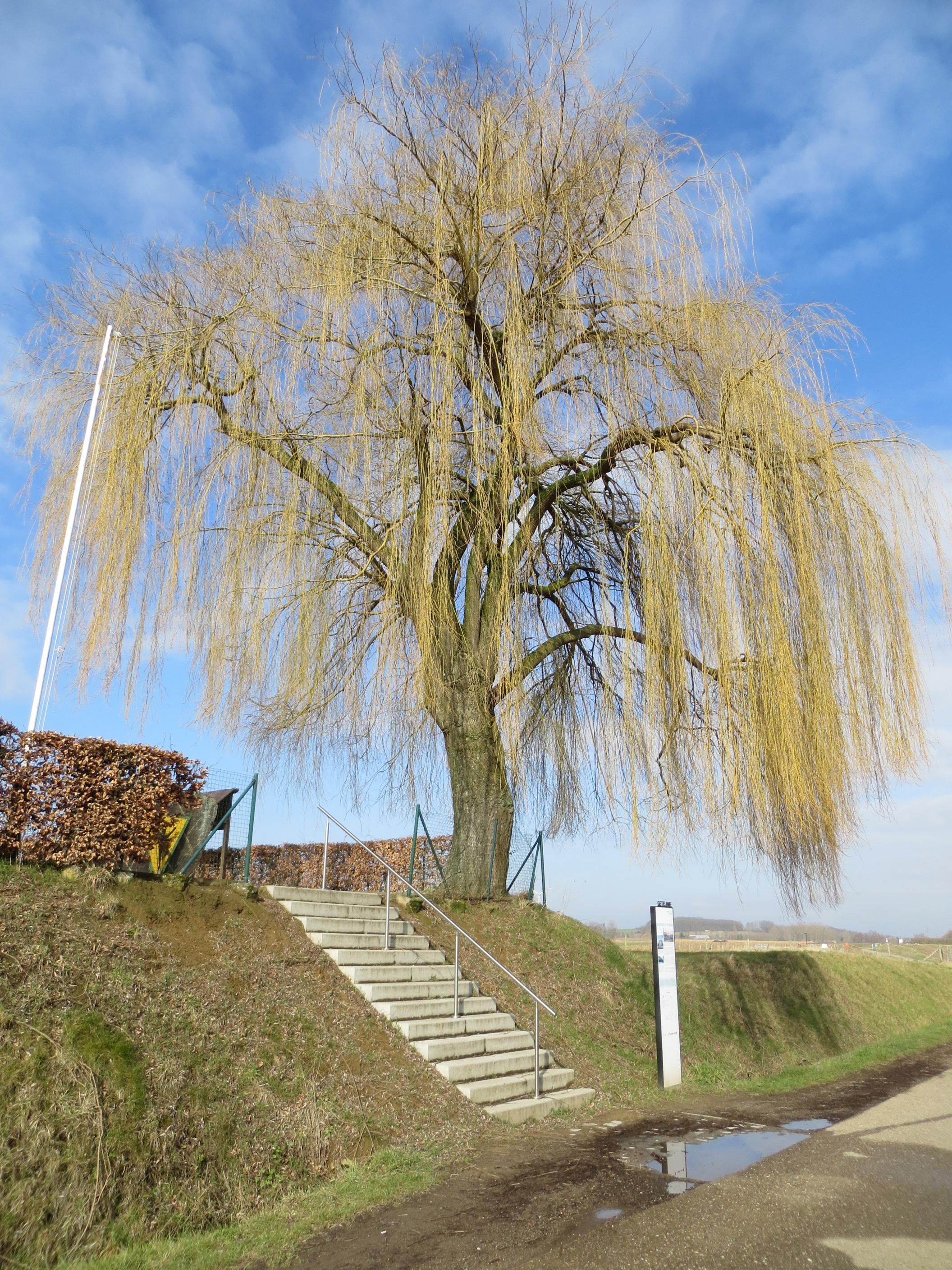 Monument Zwarte Duivels