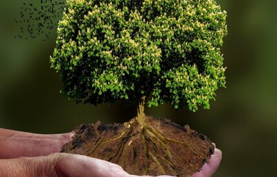 Infoavond ‘Klimaatboom zoekt tuin’ 5 december